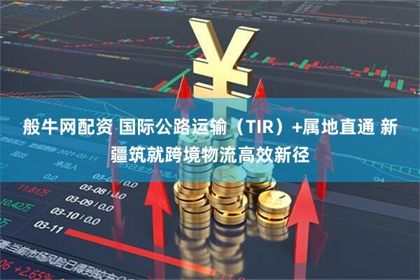 般牛网配资 国际公路运输（TIR）+属地直通 新疆筑就跨境物流高效新径