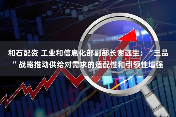 和石配资 工业和信息化部副部长谢远生：“三品”战略推动供给对需求的适配性和引领性增强
