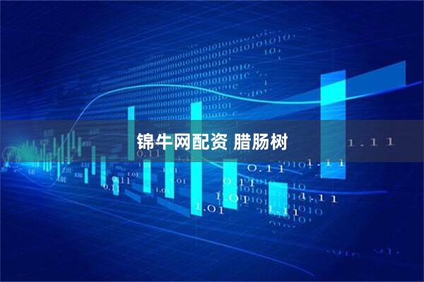 锦牛网配资 腊肠树